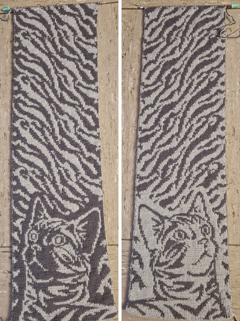 Katze Double Face Katze Double Face